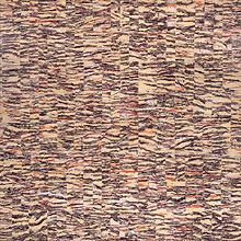 ST, serie intemperie, técnica mixta, 160x170cm, 2017