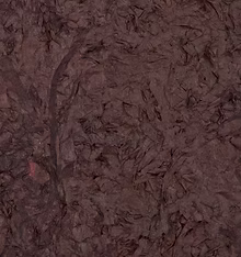 Detalle, Serie Laguna, técnica mixta, 170x180cm, 2014