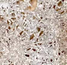 DETALLE, serie Entrevero
